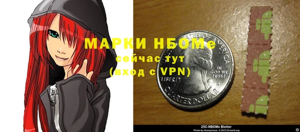 дурь Лабытнанги