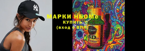 гашик Майский
